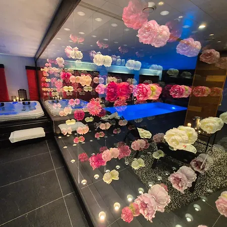 Apartment Ocv Forest *