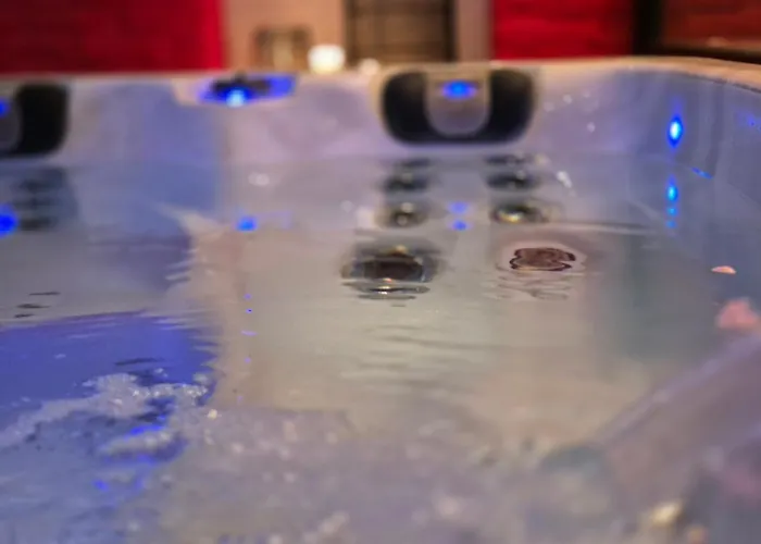 Apartment Ocv Forest *